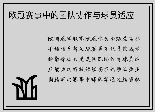 欧冠赛事中的团队协作与球员适应